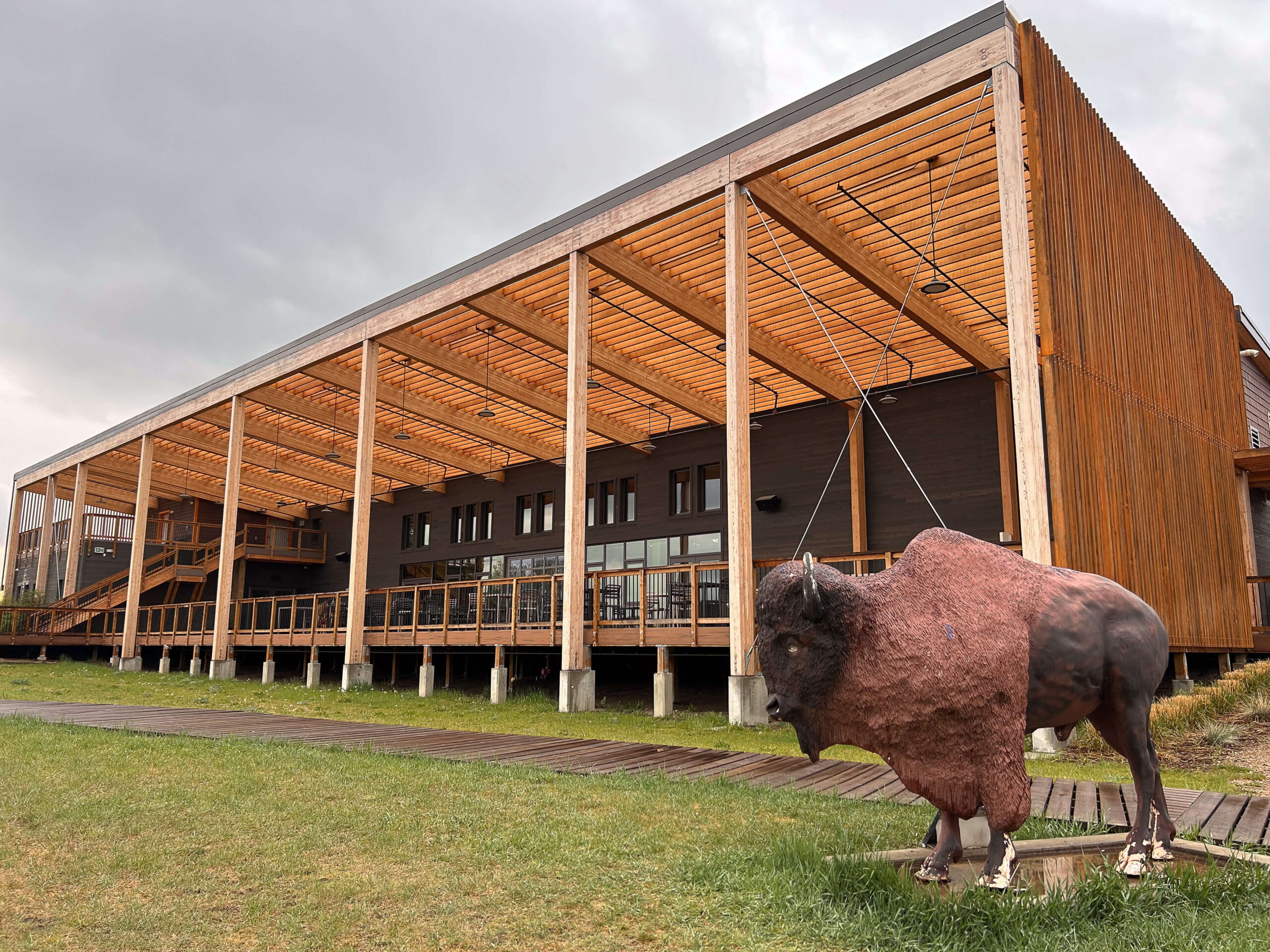 The Cultural Gathering Centre at Metis Crossing: a large building with a wood roof and a statue of a buffalo in the foreground.